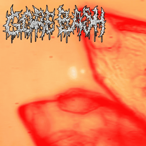 Gore Bash : Shot Up and Tortured